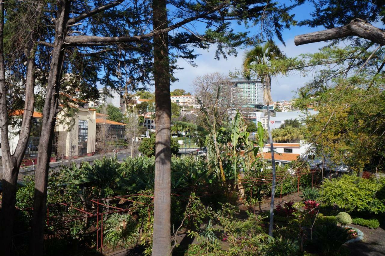 Casa Violeta Villa Funchal  Exteriör bild
